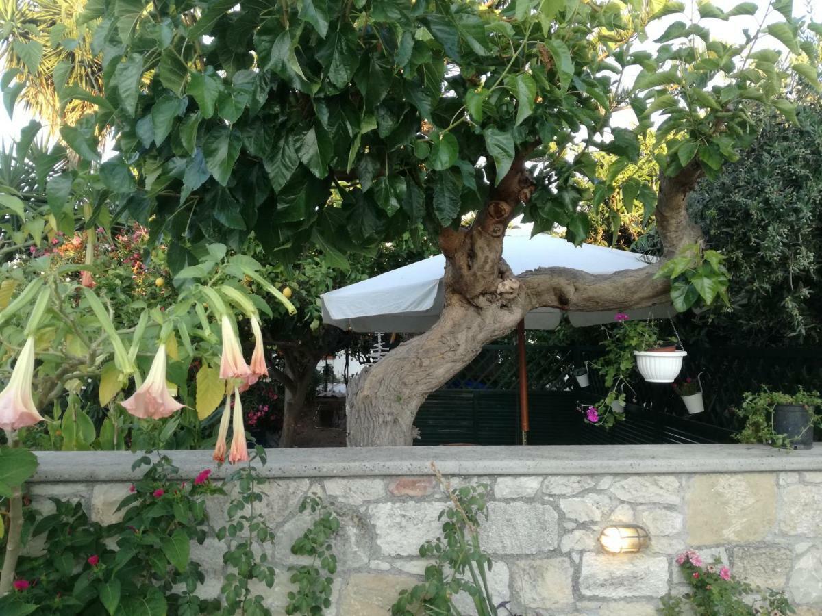 Chez Athena/ Vacation Home For 6 In Chania 塔伦蒂斯 外观 照片