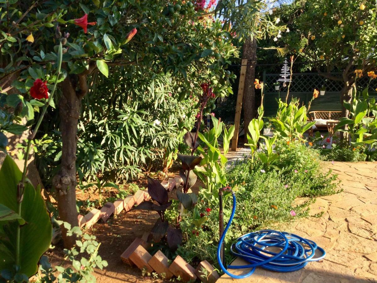 Chez Athena/ Vacation Home For 6 In Chania 塔伦蒂斯 外观 照片